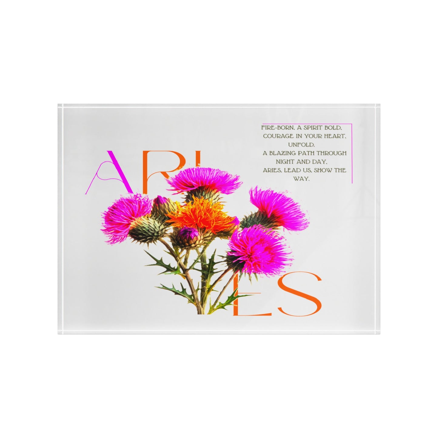 Aries Thistle, Photo Block (White)