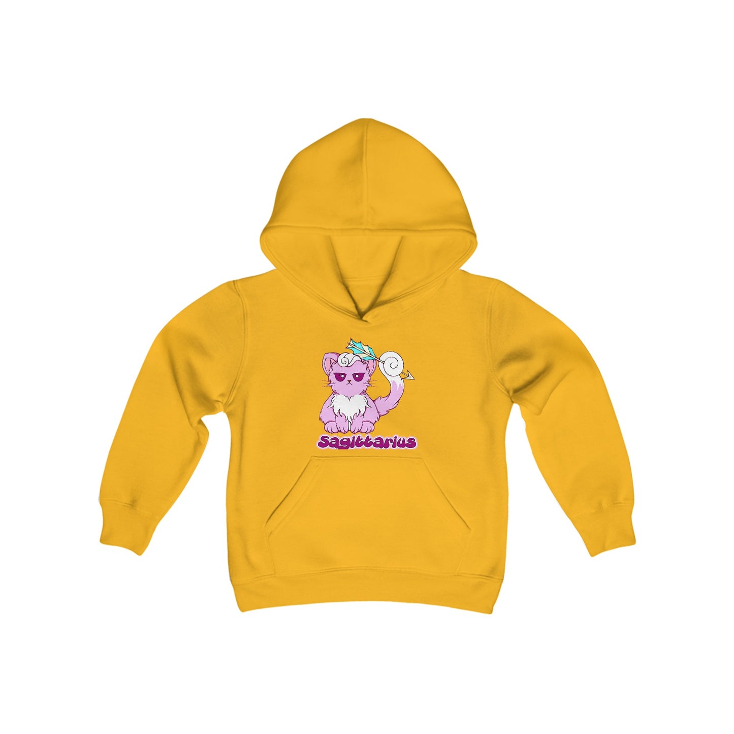 Sagittarius Anime Cat,Youth Heavy Blend Hooded Sweatshirt