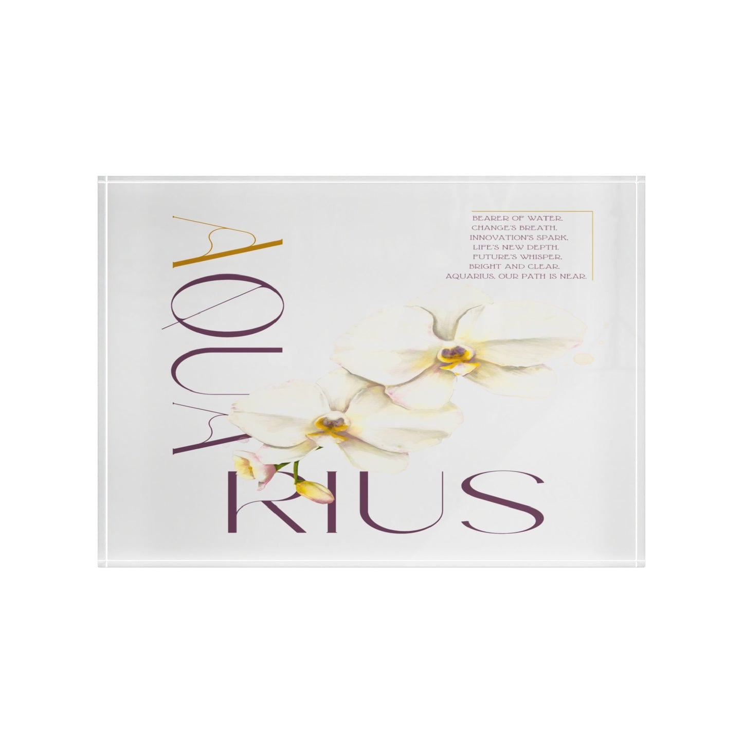 Aquarius Orchids, Photo Block (White)