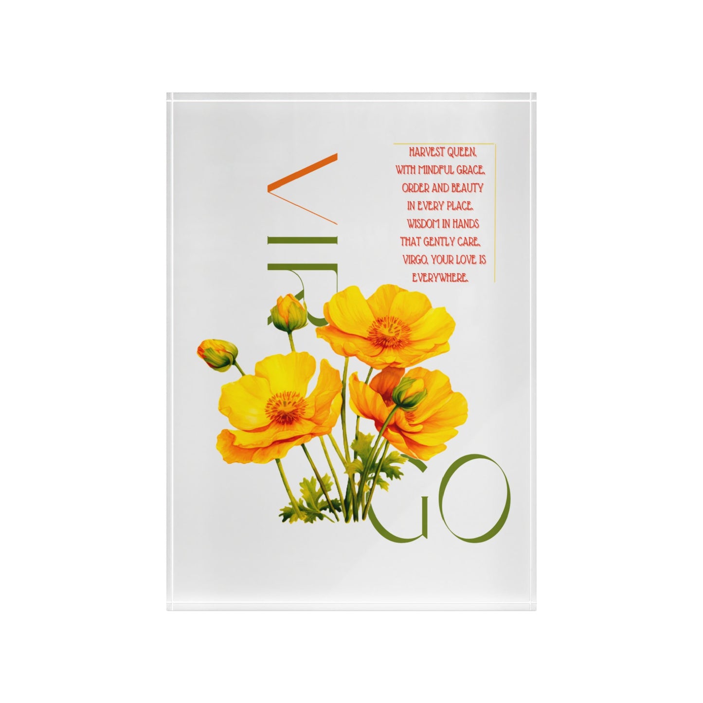 Virgo Buttercups, Photo Block (White)