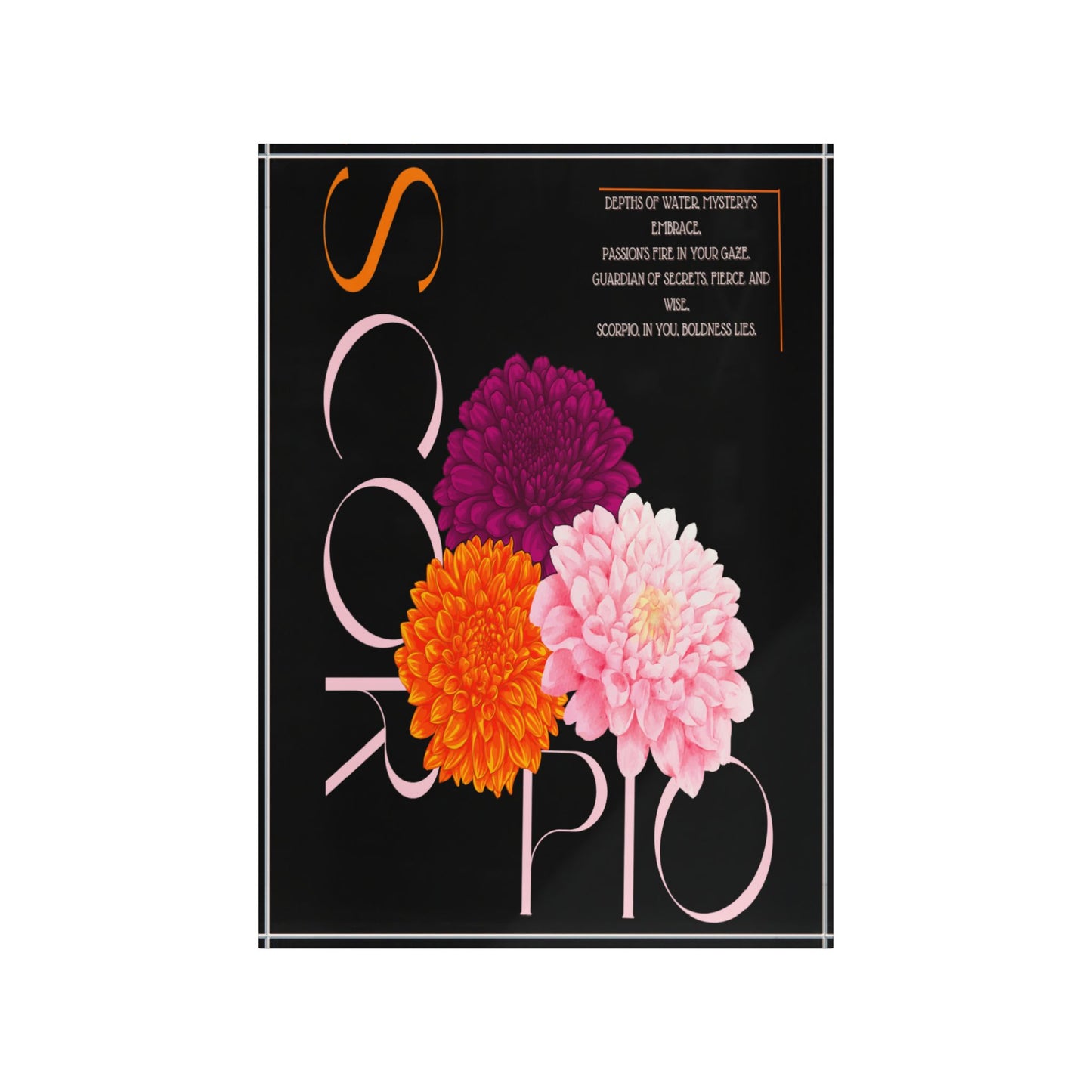 Scorpio Chrysanthemums, Photo Block (Black)