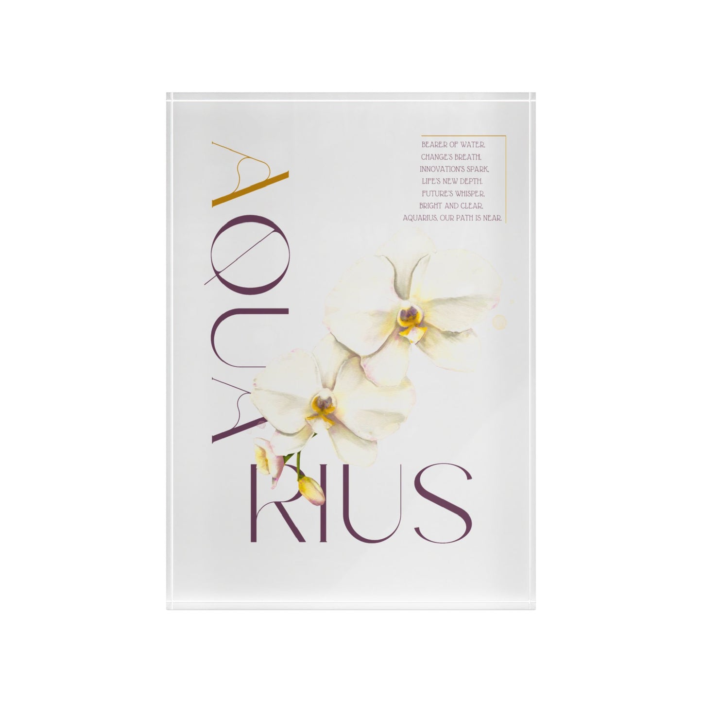 Aquarius Orchids, Photo Block (White)