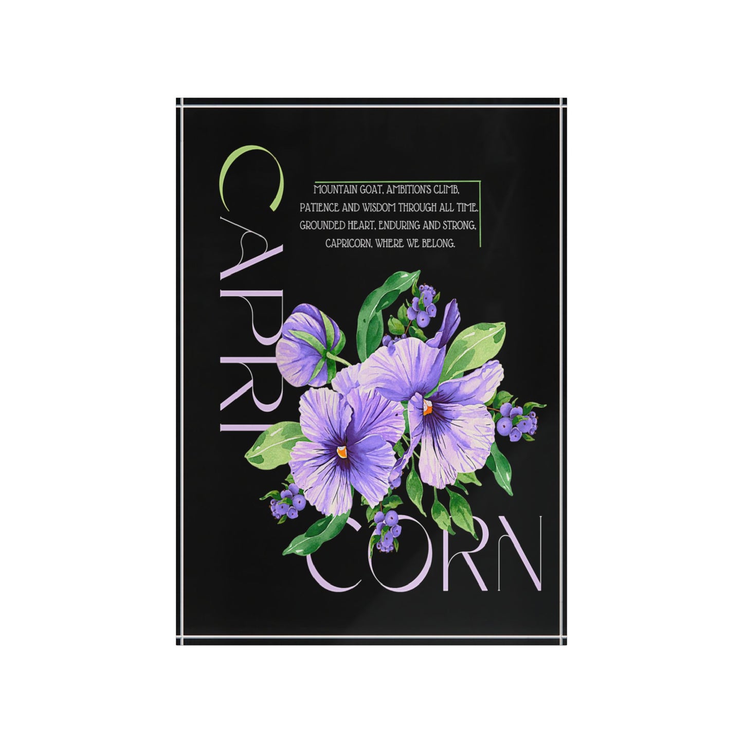 Capricorn Pansies, Photo Block (Black)