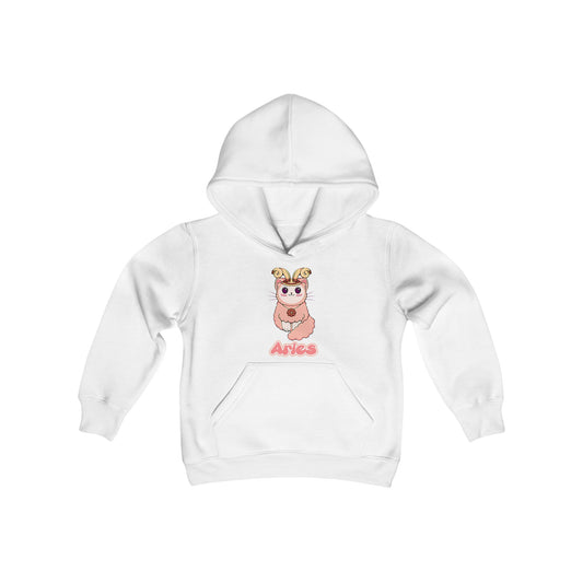 Aries Anime Cat,Youth Heavy Blend Hooded Sweatshirt