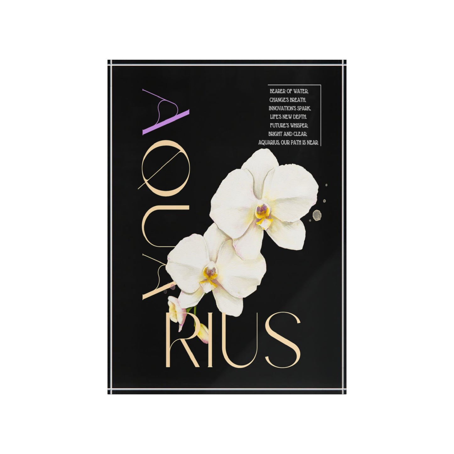 Aquarius Orchids, Photo Block (Black)