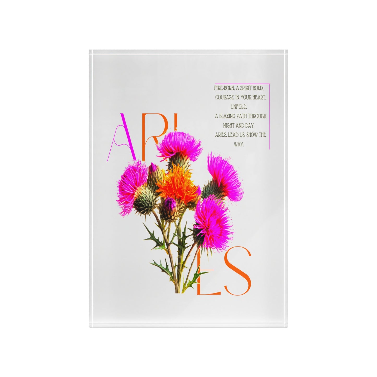 Aries Thistle, Photo Block (White)