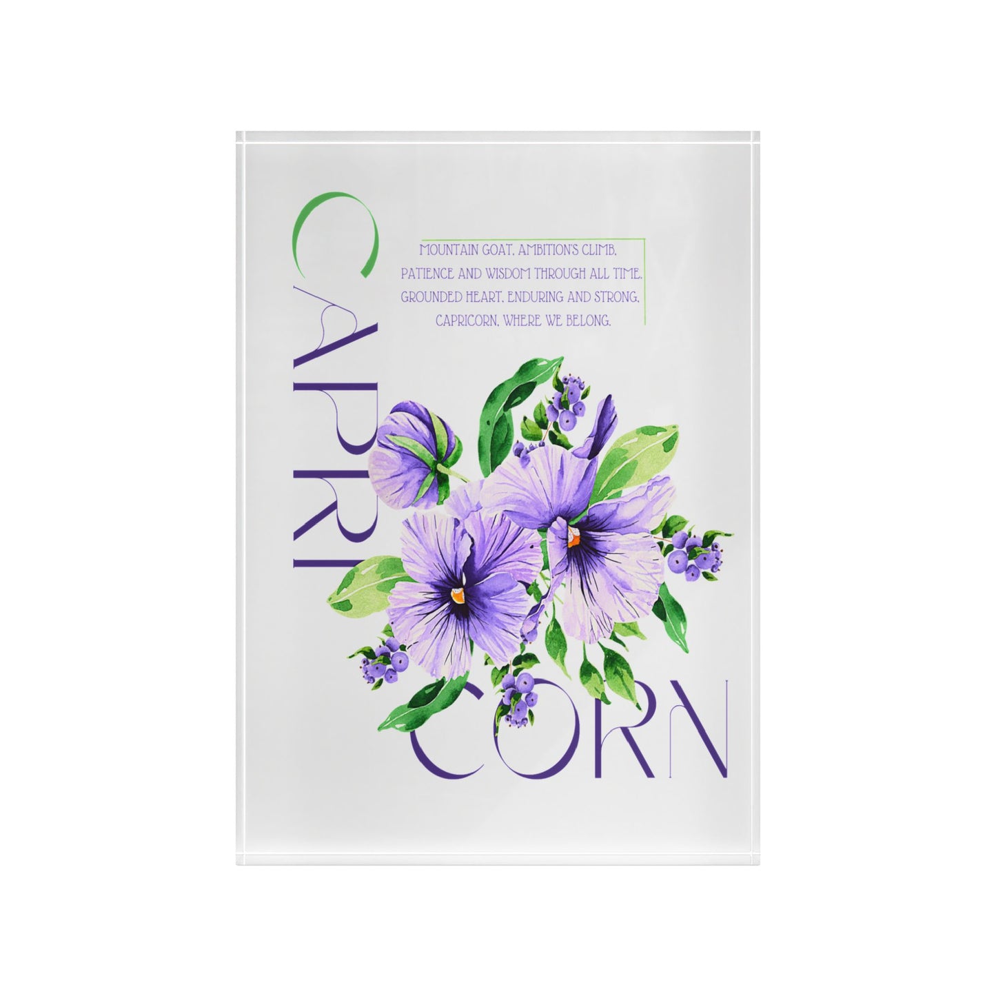 Capricorn Pansies, Photo Block (White)