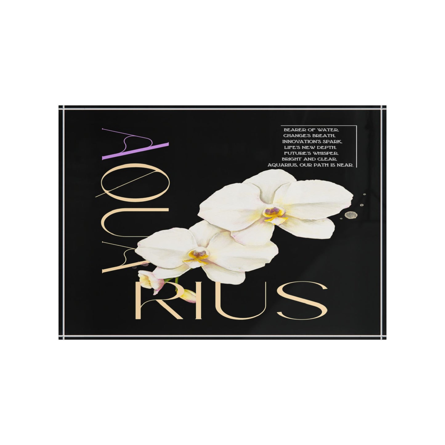 Aquarius Orchids, Photo Block (Black)